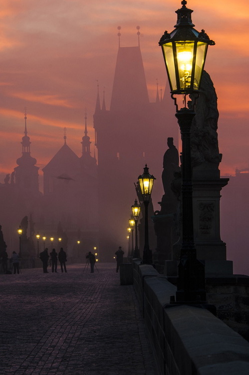 Beautiful good evening from Prague. I dont know about you, but its already cold here. Everything sparkles beautifully and its freezing. Thank you everyone for love and support. I love you more 🩵.