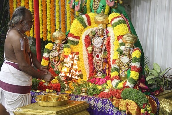 svbcttd's tweet photo. GOPUJA HELD IN VASANTHA MANDAPAM
( వ‌సంత మండ‌పంలో శాస్త్రోక్తంగా గోపూజ )

#gopuja #GOPOOJA #tirumala #TTD #TTDevasthanams https://t.co/C9ABhJ4pZm
