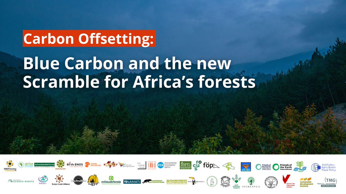Blue Carbon’s 25 million hectare #CarbonOffsetting African land-grab does nothing for the climate but will exacerbate injustices for those depending on their forests.

Together with 38 NGOs, we call on #COP28 to fight for real solutions: fern.org/publications-i…