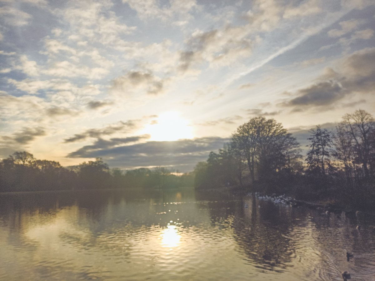 Andy Reeve tweet media