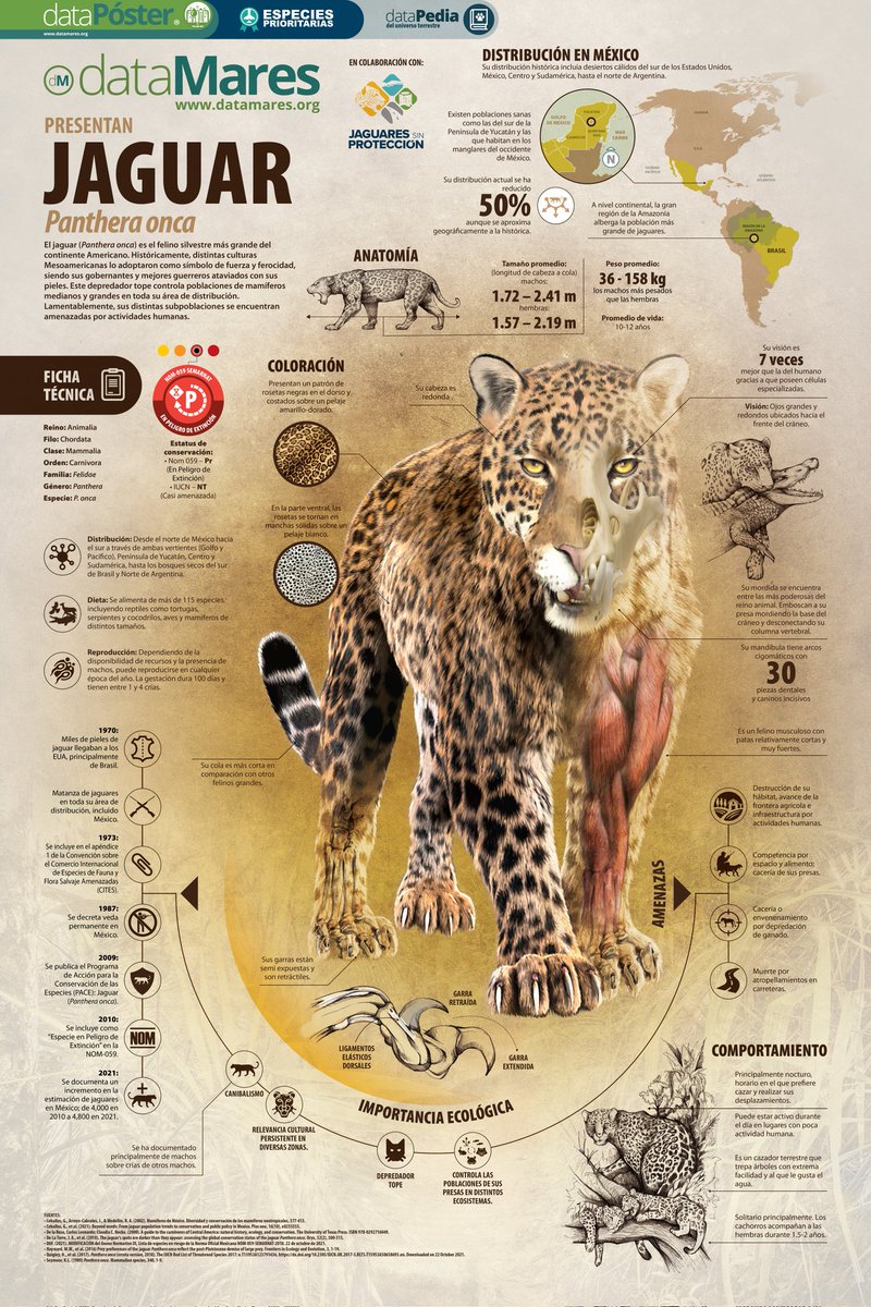 dataMares tweet media