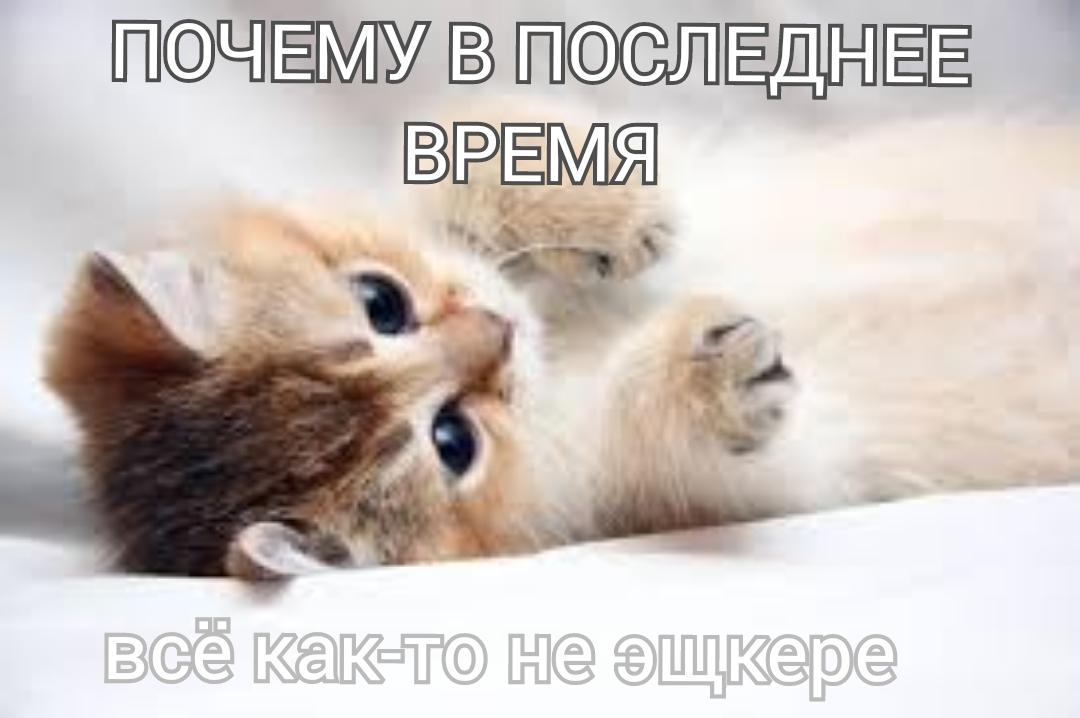 Потому что в последнее время всё :

Вай-вай-вай, hola, hola
Хай-яй! (Оп, оп, у-у, а-а, ха-ха)
Ho-ba-la-la-la-la-la-la-la-la-la, ай