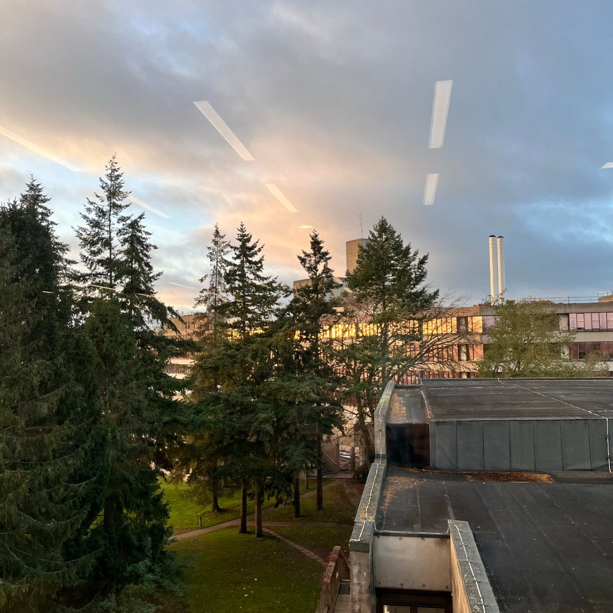 UEALibrary's tweet image. Need a study spot with a view? 

We might be biased, but we think we have some of the best views on campus. Which is always helpful when you need a little study inspiration! 

#UEALibViews #UEALibrary #UEANorwich #UEACampus #LibraryViews #StudySpotNorwich