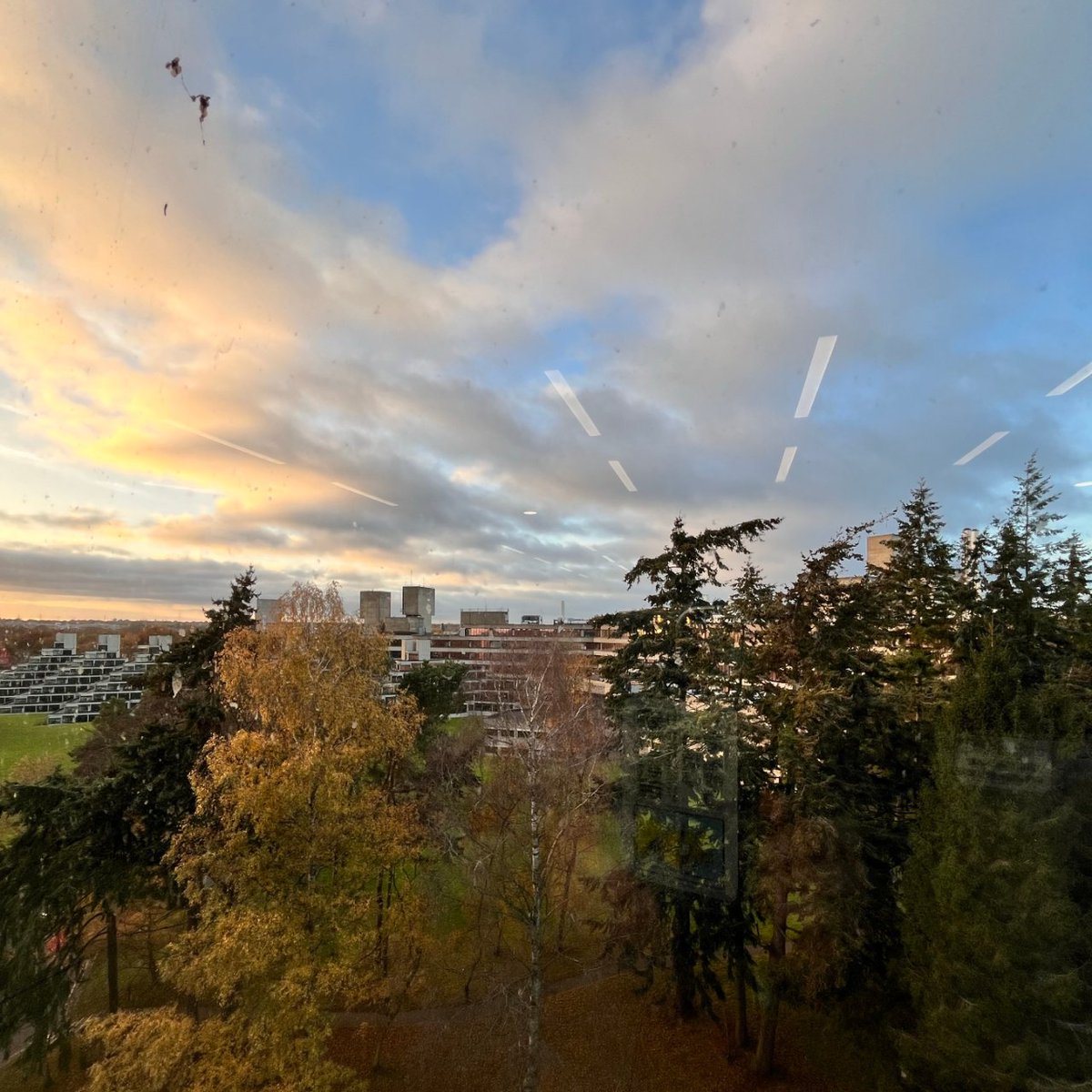 UEALibrary's tweet image. Need a study spot with a view? 

We might be biased, but we think we have some of the best views on campus. Which is always helpful when you need a little study inspiration! 

#UEALibViews #UEALibrary #UEANorwich #UEACampus #LibraryViews #StudySpotNorwich