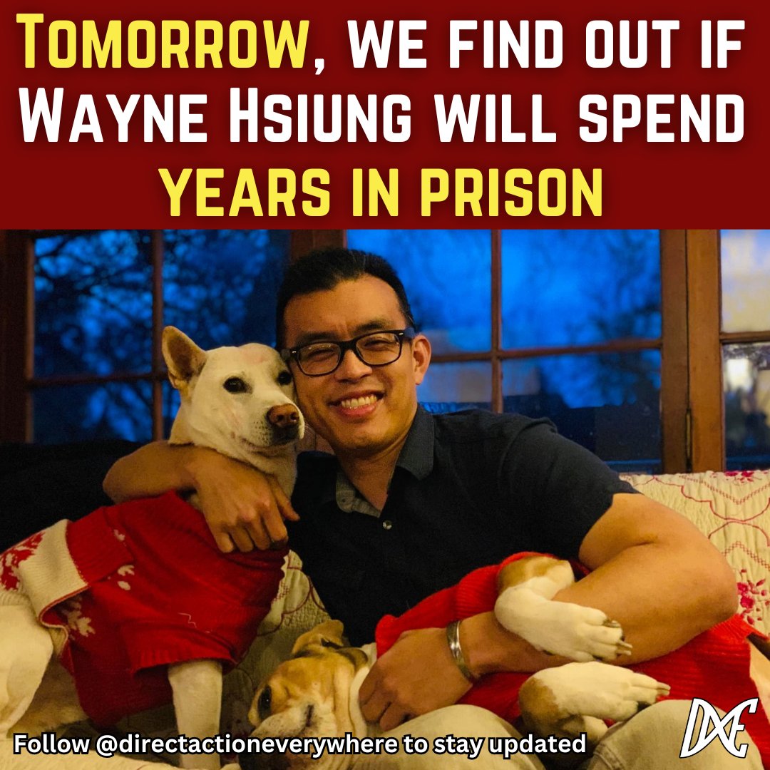Will Wayne be sentenced to over 3 years in prison? Tomorrow, Wayne will have his sentencing hearing and we will find out if he’ll remain in jail for advocating for the criminally abused animals in Sonoma County. Stay tuned. #SonomaRescueTrial #RightToRescue