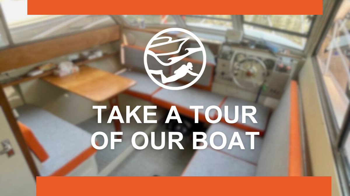 diveboatmalta's tweet photo. We’re excited to see you on board!
https://t.co/bzHKAllEzh

#diveboat #boat #boatmalta #diveboatmalta #boatcharter #boatrent https://t.co/2sy94LjmnF