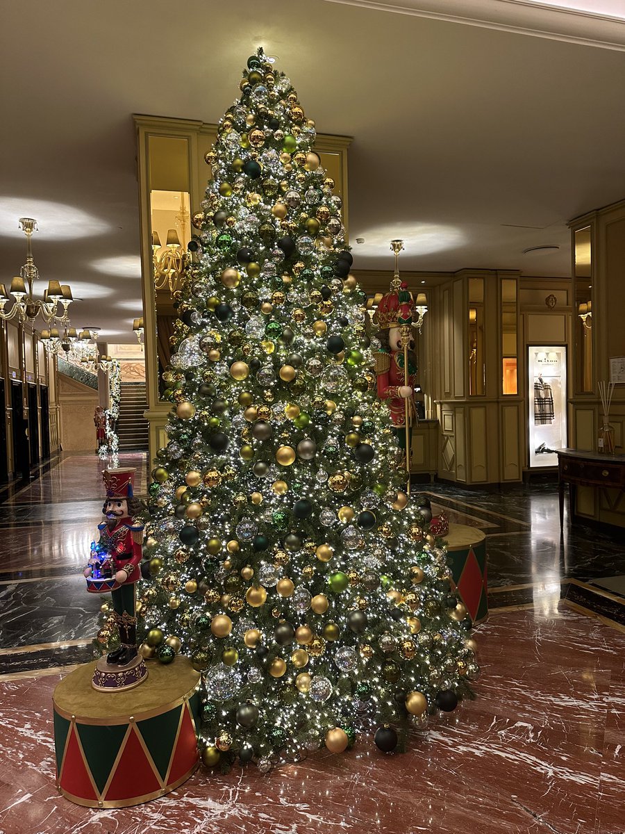 Christmas magic in our beautiful lobby 💫

#DCmoments