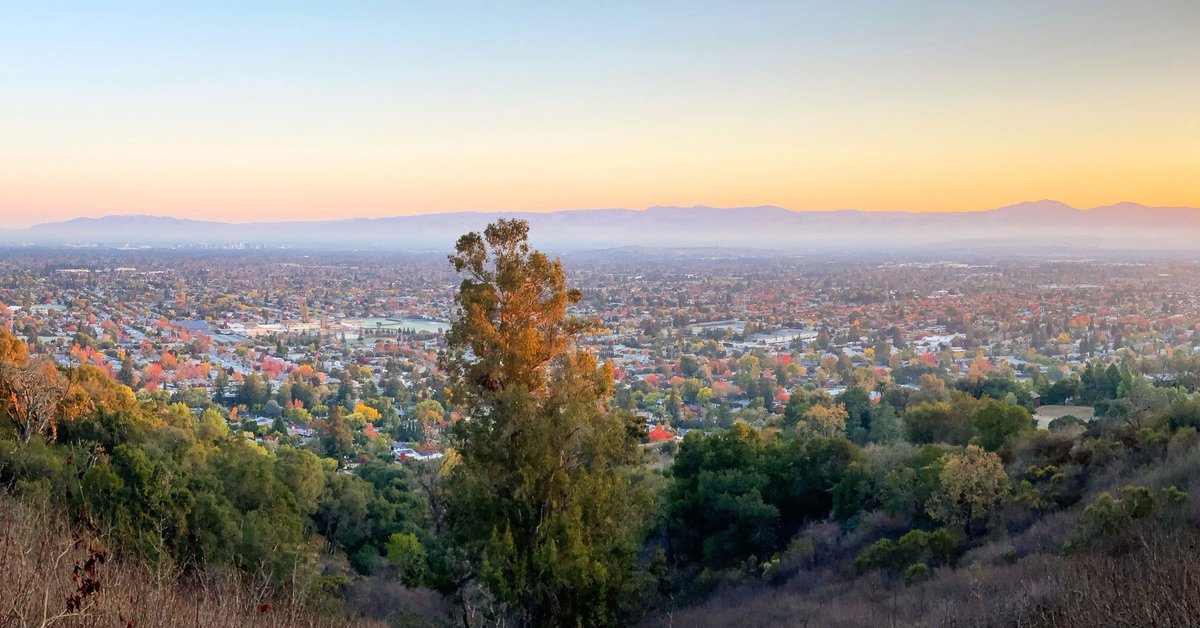 modernhiker's tweet photo. It's autumn in the Bay Area! Go check out these trails to get your dose of fall color: https://t.co/ACjFuH5IUh https://t.co/bWlgQEEhxp