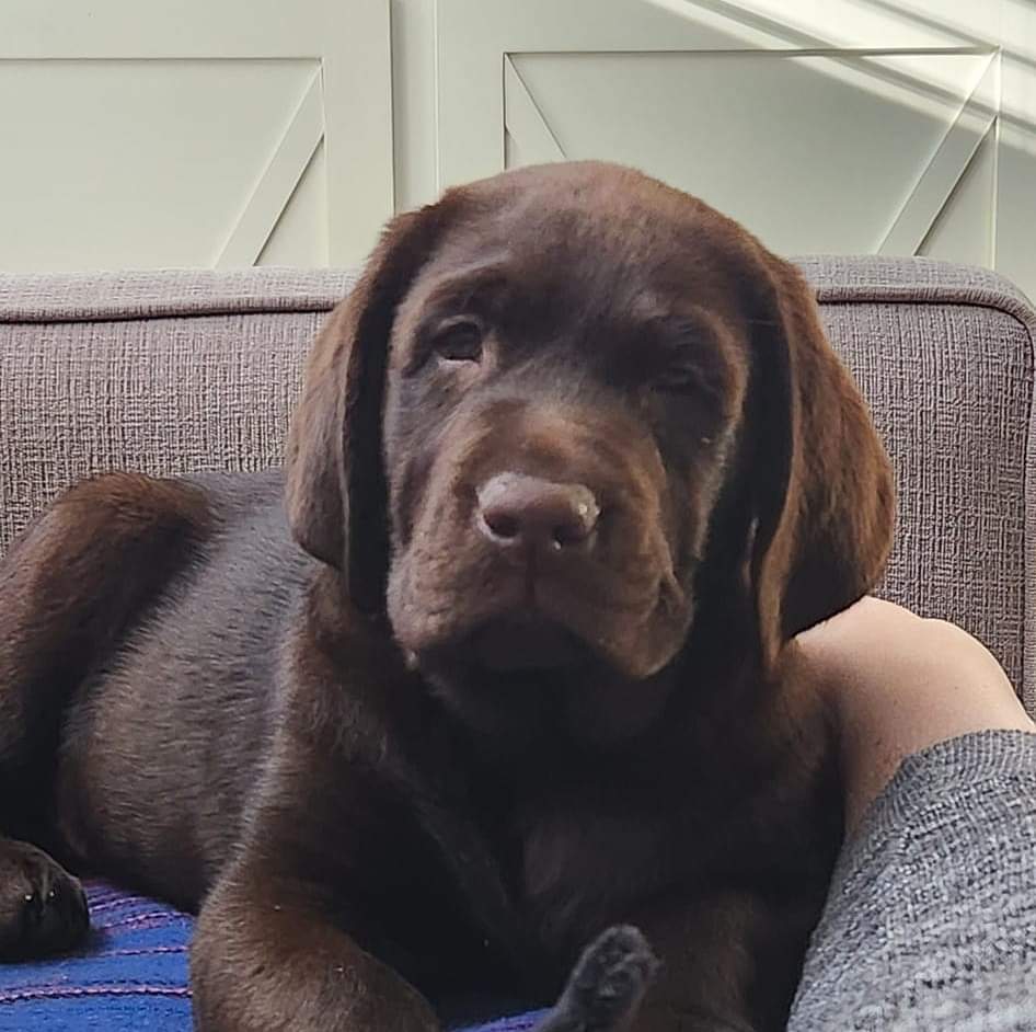 Heather Turner Hamel tweet media