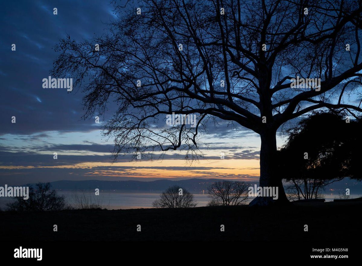 campyphotos's tweet photo. A stunning sunset over the Hudson River at Rockwood Hall part of Rockefeller State Park Preserve. So grateful to live near this park @NYstateparks #AlamyNightTime #AlamyPOTM @AlamyContent   https://t.co/NpD80npvf1 https://t.co/2lOC1Iv2K0