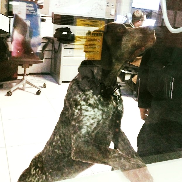 UBuffaloPolice tweet media