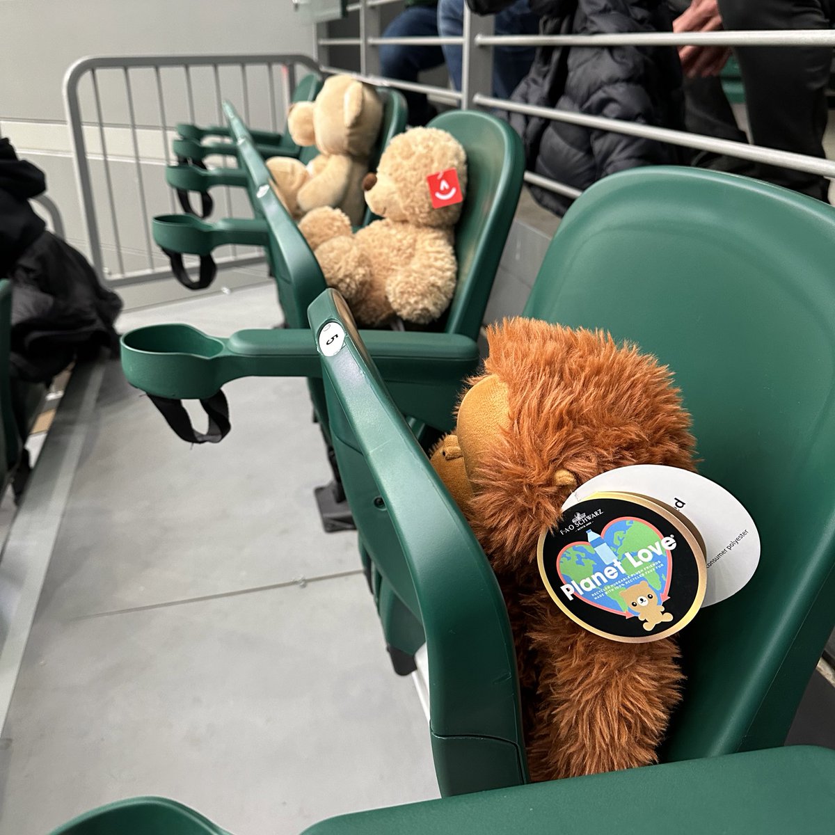 Lindsay Coburn (@meiggsl) on Twitter photo WHAT A NIGHT!
Lost in the excitement from the game was the halftime Teddy Bear Toss! Our friends & family answered the call & we were able to bring bags of stuffed animals to donate to the Fox 12 <a href="/LesSchwab/">Les Schwab Tires</a> Toy Drive & give back to kids in our community. What it’s all about! WHAT A NIGHT!
Lost in the excitement from the game was the halftime Teddy Bear Toss! Our friends & family answered the call & we were able to bring bags of stuffed animals to donate to the Fox 12 <a href="/LesSchwab/">Les Schwab Tires</a> Toy Drive & give back to kids in our community. What it’s all about!
