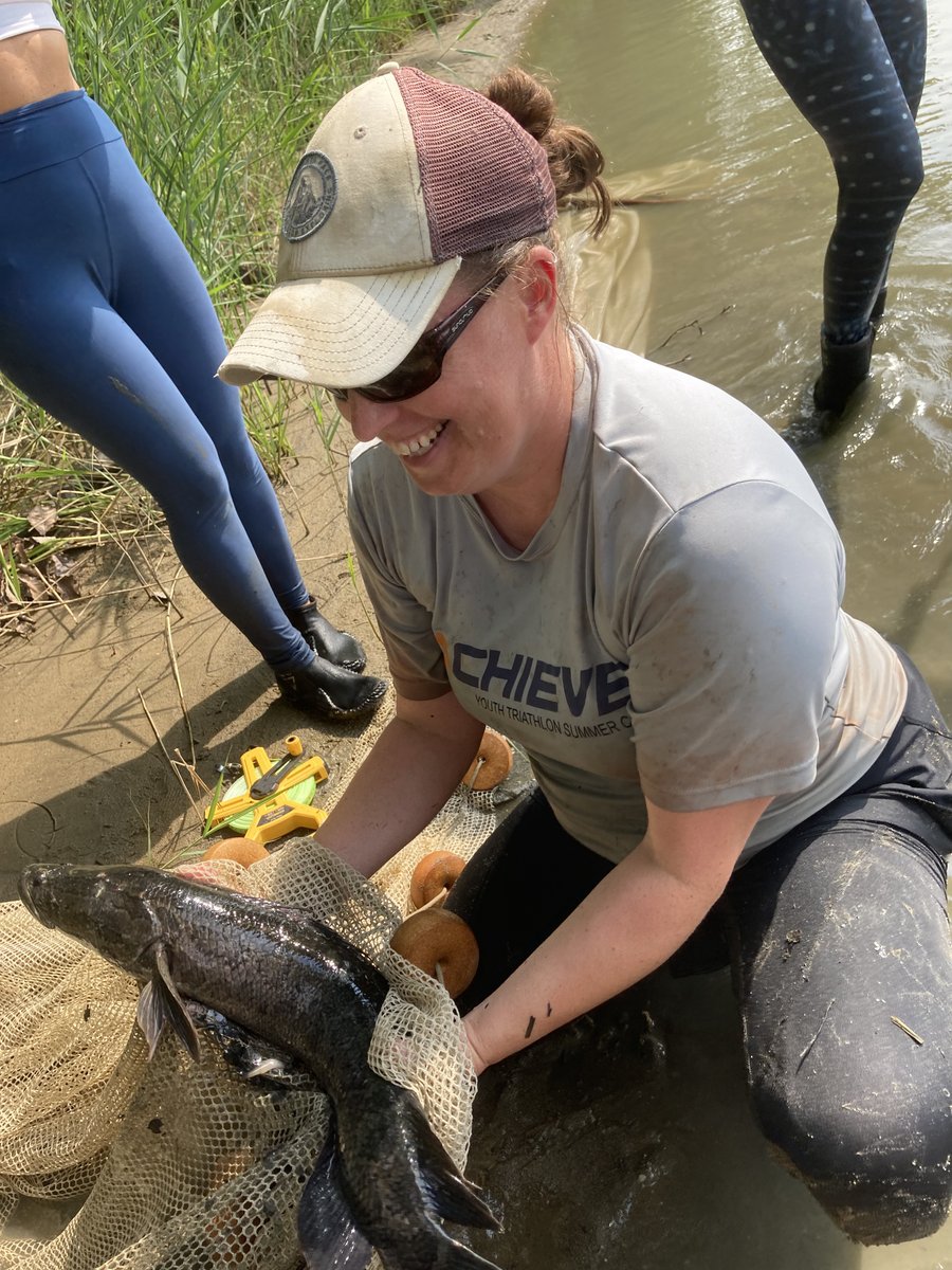 Originally native to China, the #snakehead was introduced to the bay in the last 30 years. Since it non-native to the bay, it has no known predators other than the occasional bird of prey. Many state agencies encourage their removal, and thankfully 😜 they make a tasty meal! 2/2