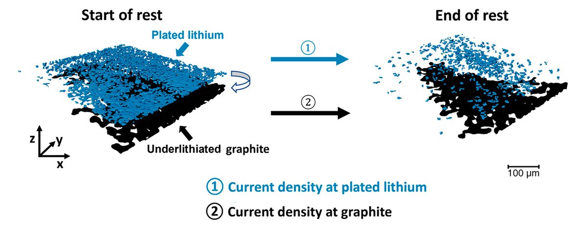 In Li batteries after fast charging, researchers found that large local currents persist even after charging has stopped. The work sheds light on the causes of thermal runaway and the catastrophic failure of Li batteries at rest. als.lbl.gov/internal-curre…