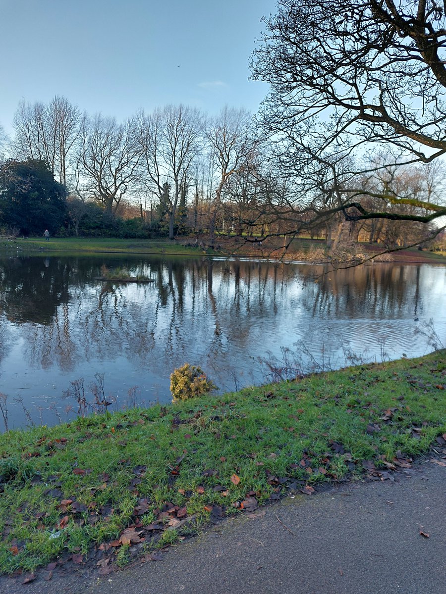 LBurrowsSLTA tweet media