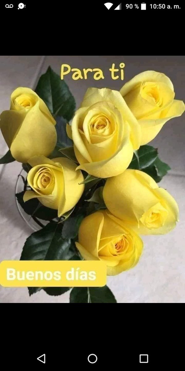 Bonito día 🌻🌻🌻