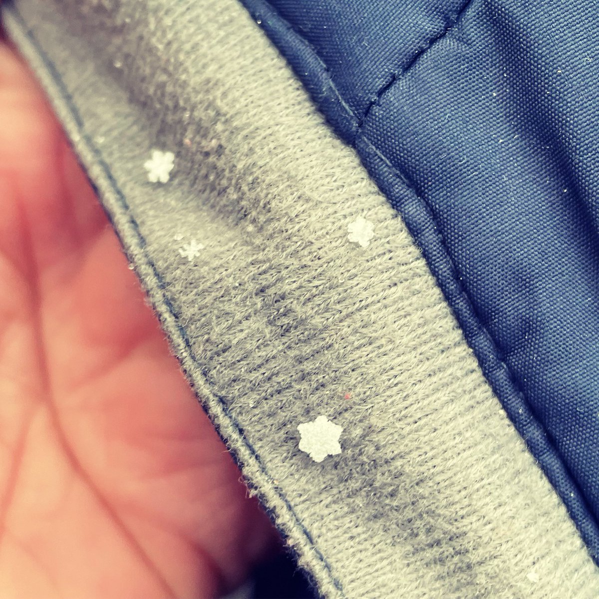 Today at my work we had perfect snowflakes falling - amazing❄️