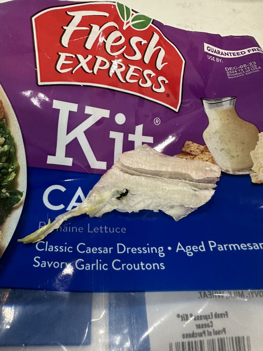 Ewwww! Watch your <a href="/freshexpress/">Fresh Express Salads</a> Caesar Kits, people. How can I get my money back?