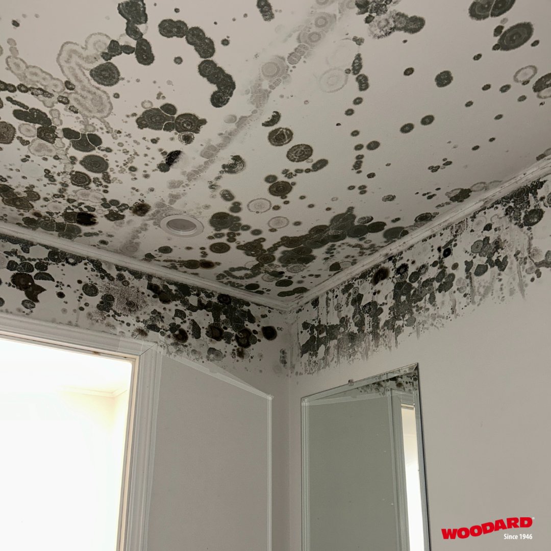 Never turn your HVAC system completely off, or this could happen to your home.

#stayinformed #mold #remediation #stlbusiness #cleaningstl