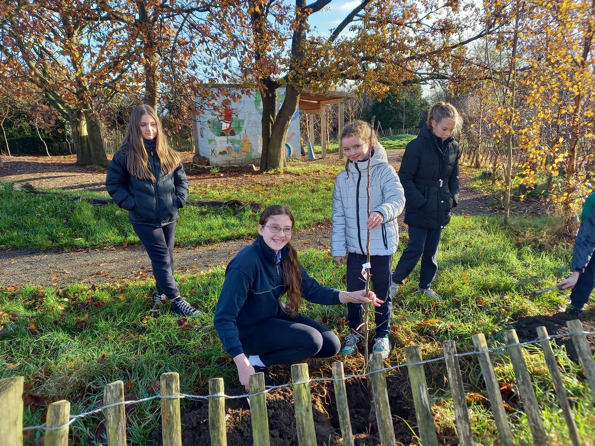 KilcloonPrincip's tweet photo. Thank you to past pupil and former Meath player Donncha Toibín and his company Capcon for the donation of an orchard to the school. Today our Green team planted apple, plum and pear trees @hostinireland 
#DcsforBees https://t.co/Sih4RS1N9s