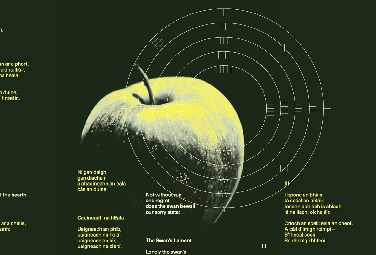 Composer, double bass player and traditional flute player Neil Ó Lochlainn premiered his new work 'Emain Ablach' with a 14-piece ensemble in Galway and Dublin last weekend. Brendan Finan reviews the Smock Alley performance. ow.ly/jmmp50QcwPM