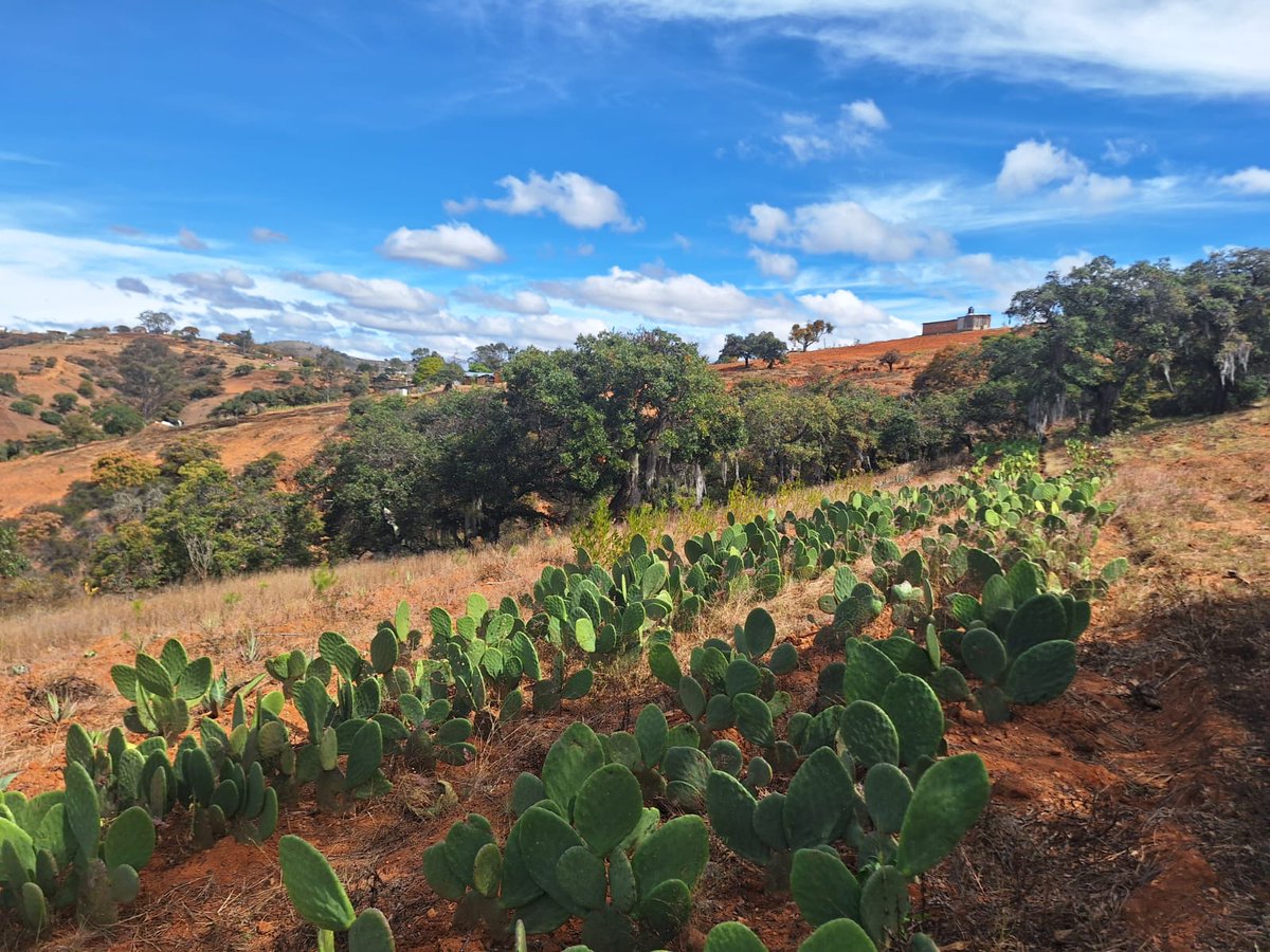 Institute for Agriculture and Trade Policy (IATP) tweet media