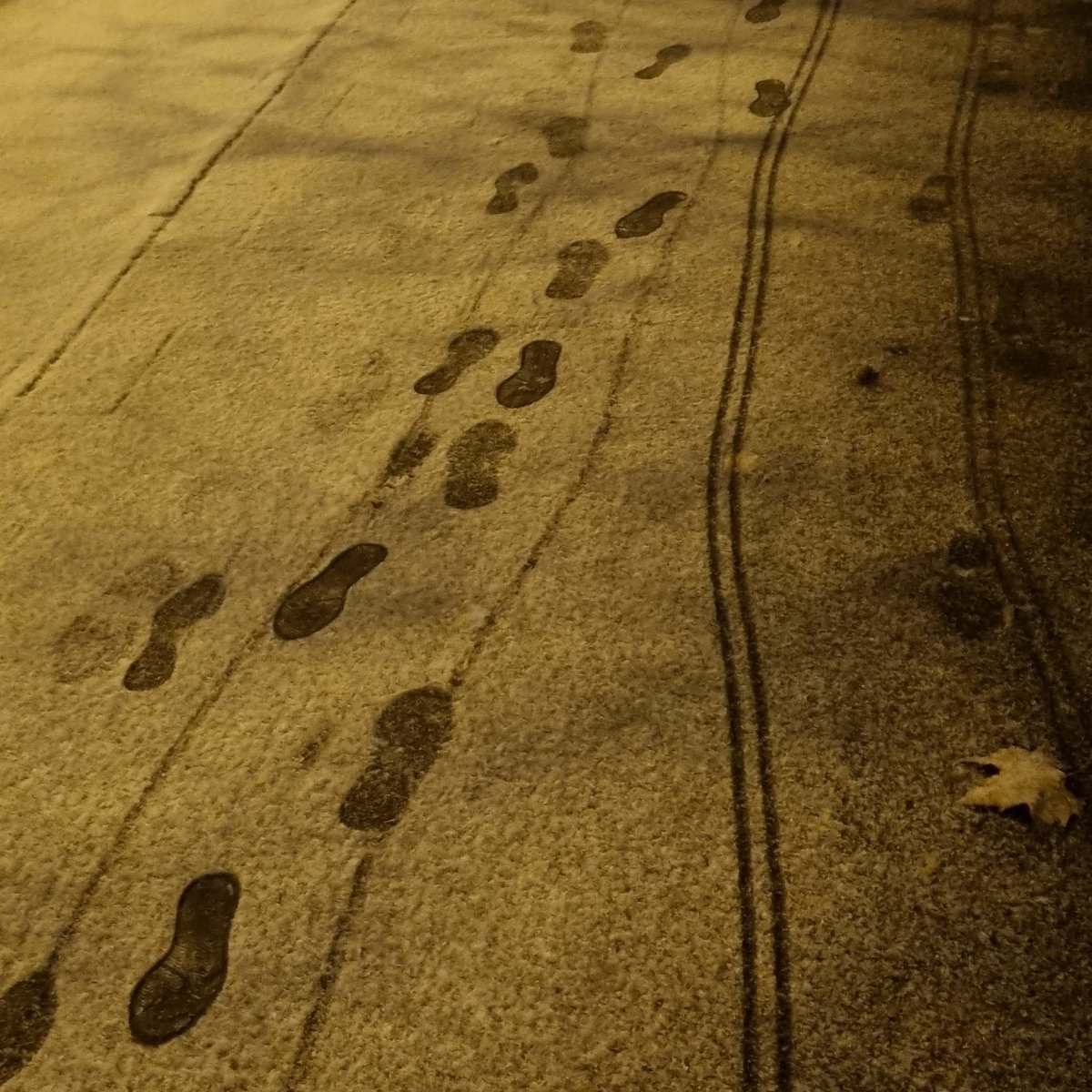 Sploinkde's tweet photo. #Sploink! #traces #Snow https://t.co/yo7dLmPaqk