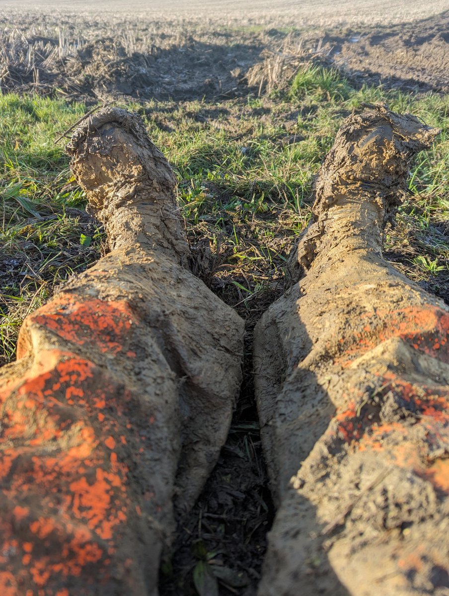 Spent much of today explaining how a sump pump works, getting it going and draining goop. At least *this* is only mud.  #transferableskills