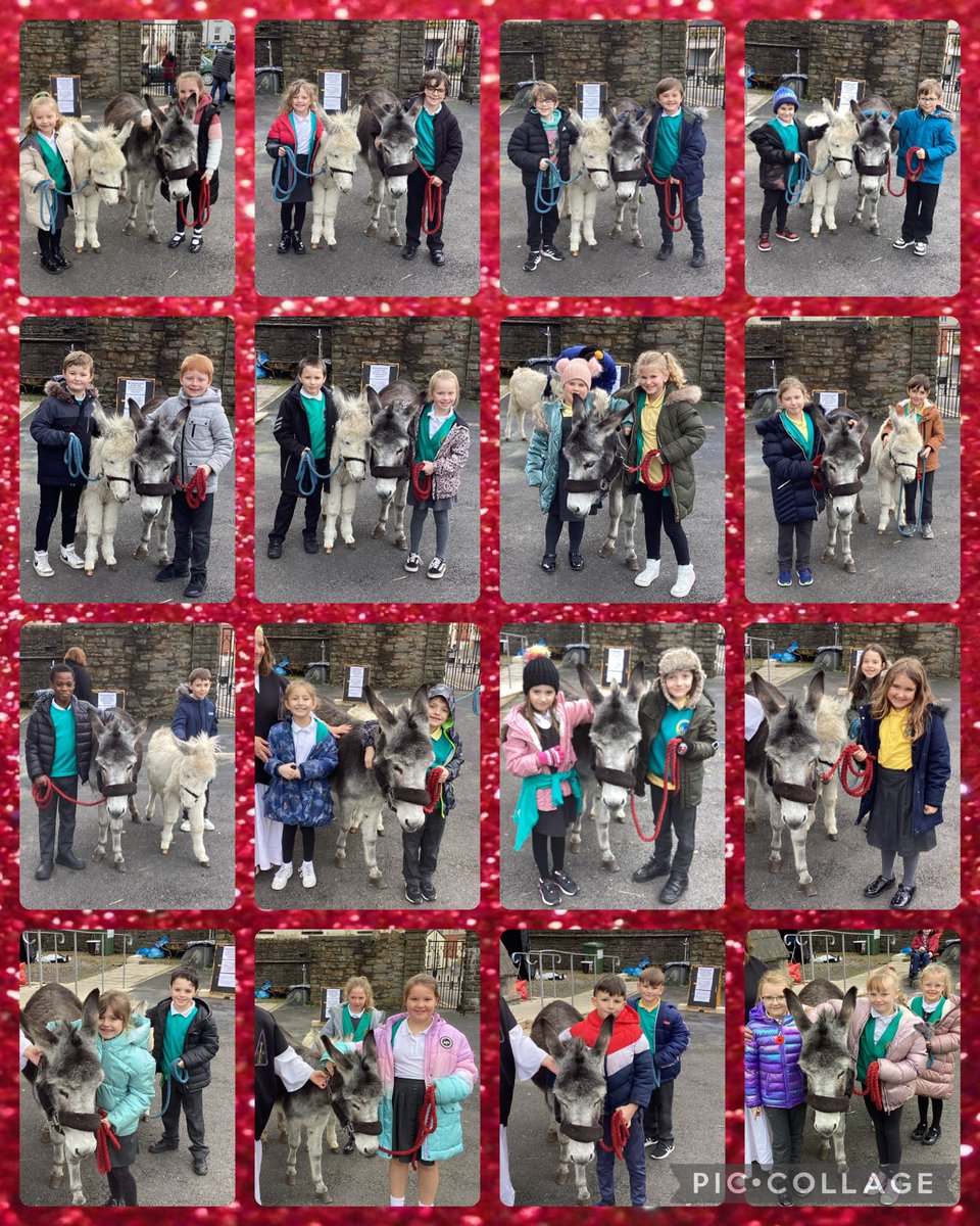 AberdareParkPri tweet media