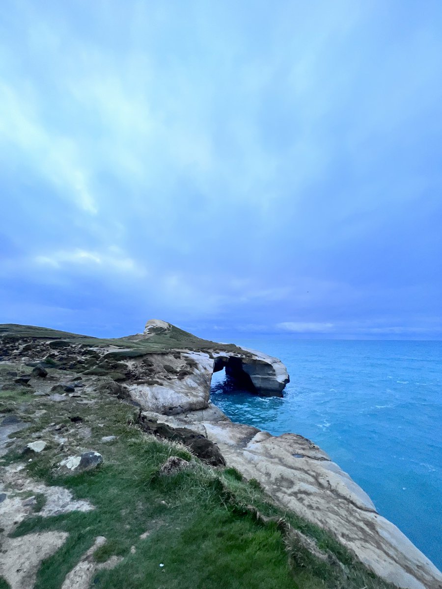 Dr Connor Blythe (PhD) tweet media