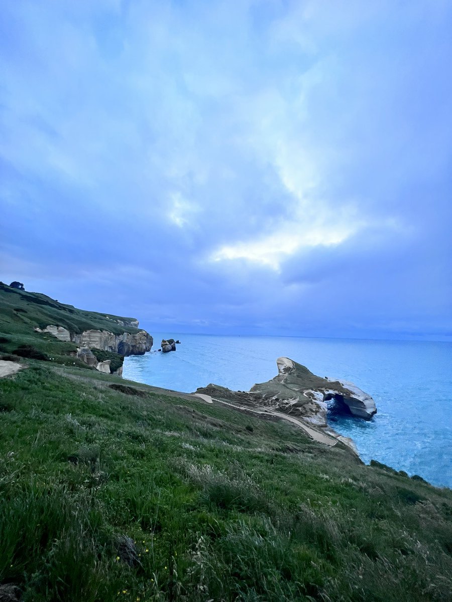 Dr Connor Blythe (PhD) tweet media