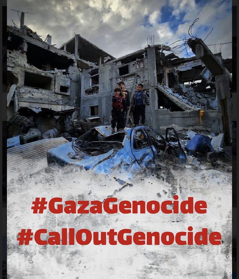 DanaHasan4's tweet photo. Principles of Peace and Security; Human Rights; The Rule of Law; have no meaning when human rights organizations refuse to call genocide by its name. #GazaGenocide #CallOutGenocide @Amnesty @sachadeshmukh @dpaulobrien @AgnesCallamard https://t.co/YFd4vCxhXc