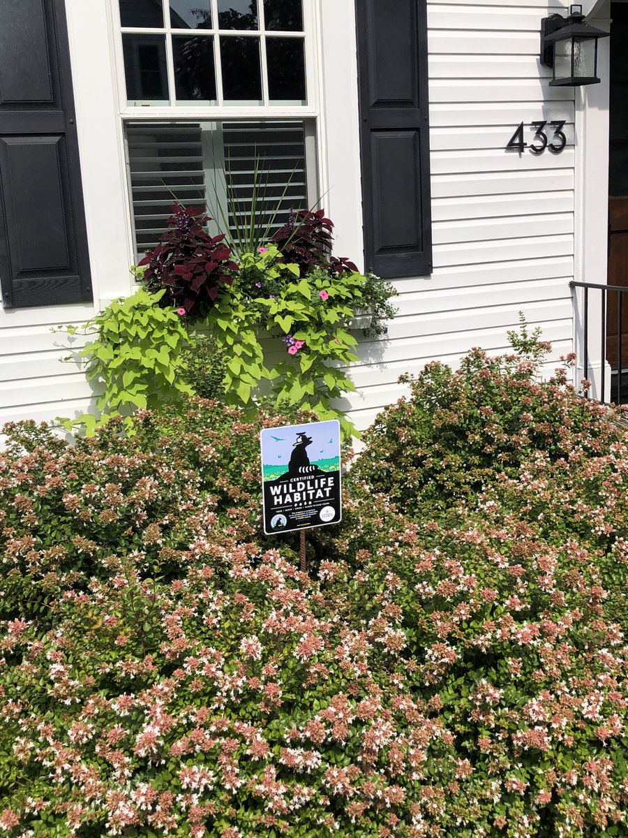 Marketing_Hack's tweet photo. @Garden4Wildlife @MarthaStewart @NWF @Dmizejewski I have mine certified! @Garden4Wildlife https://t.co/aTNpRkgcQq