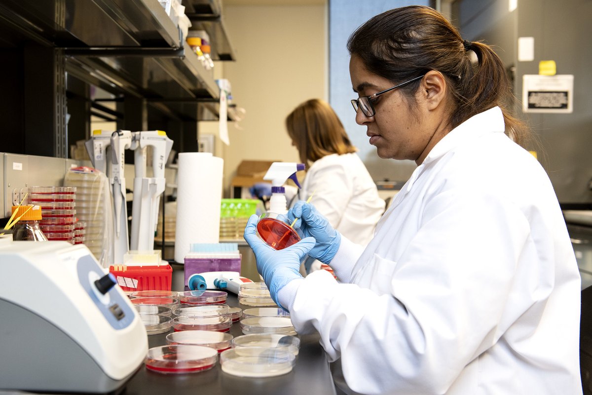 Arkansas Agricultural Experiment Station tweet media