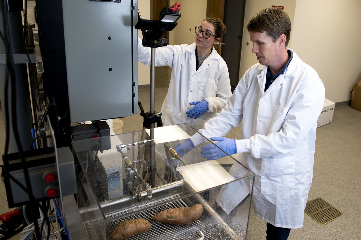 Arkansas Agricultural Experiment Station tweet media