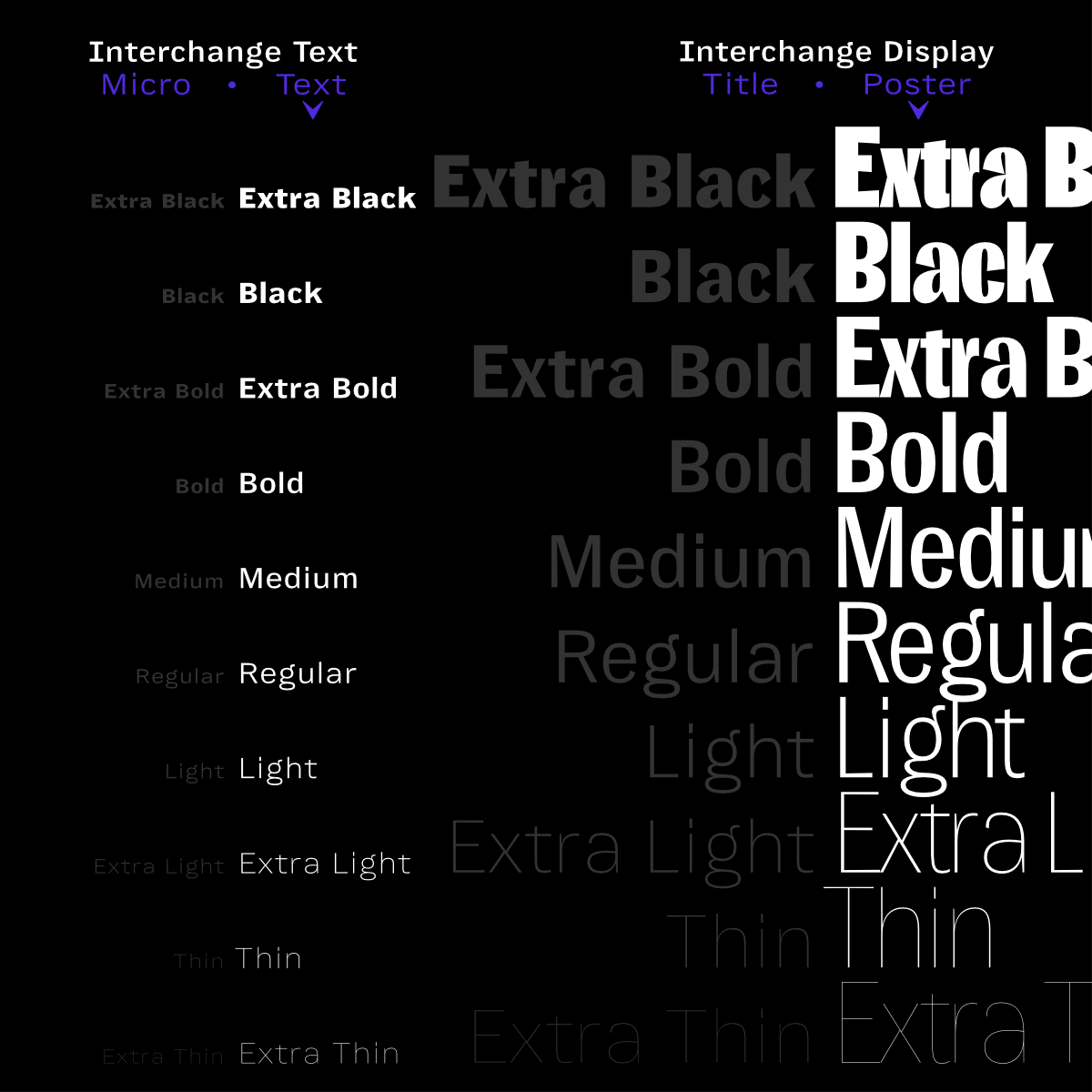 Future Fonts tweet media