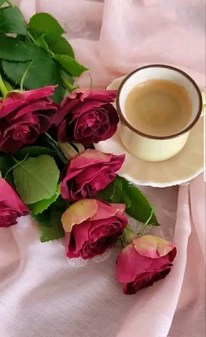 “Los verdaderos amigos nunca se separan, tal vez en la distancia, pero nunca en el corazón." 
Linda tarde
#UnidosXCuba