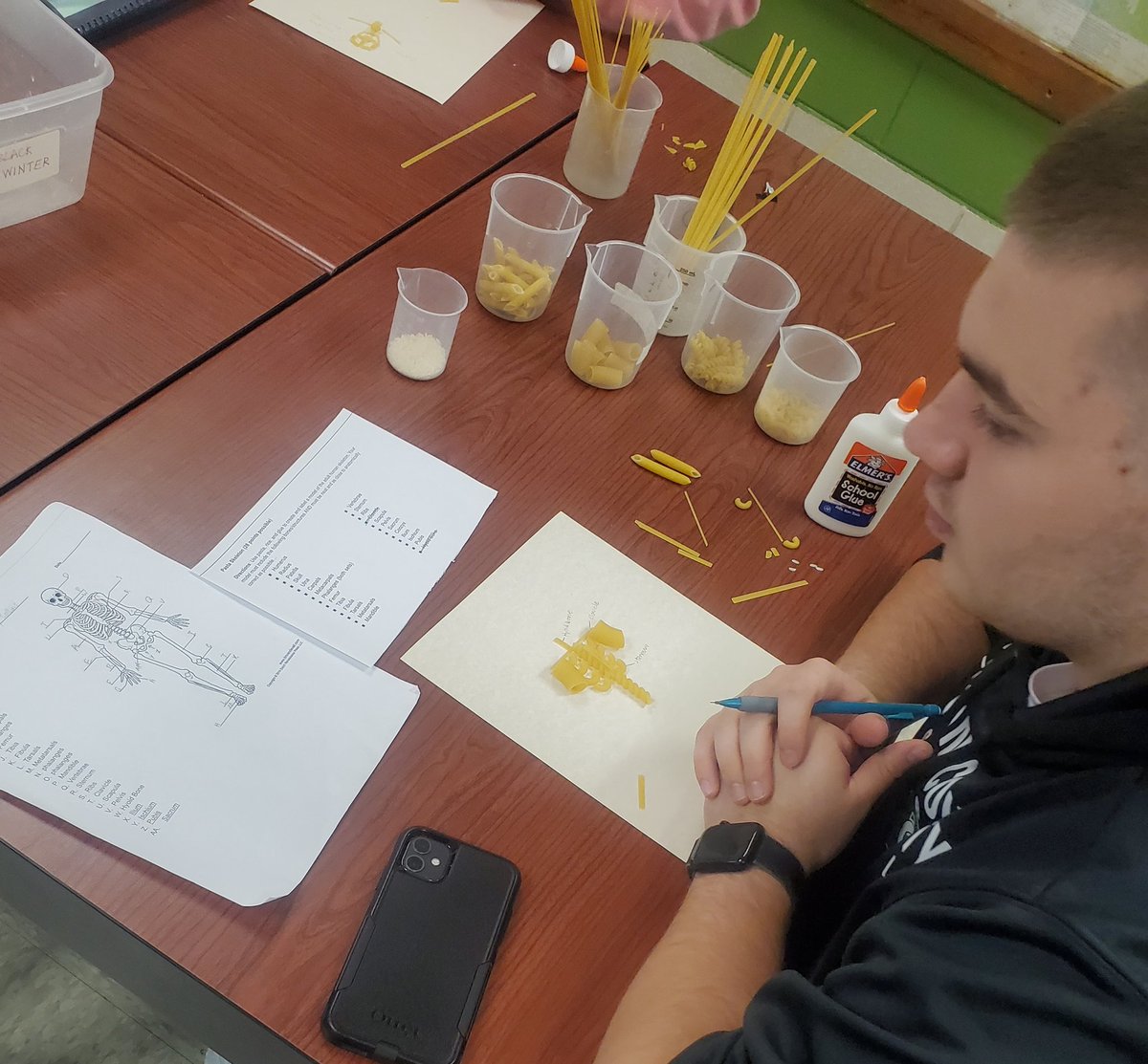 rcshsGreenhill's tweet photo. #Forensic science students hard at work creating models of the human skeleton using pasta! 🍝 #vikingsLEAD @RCSHSOffices https://t.co/Ys3Tb6JvTd