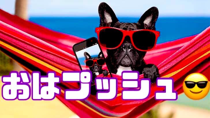 11/30（木）おはプッシュ✨近ごろ整体のお仕事が忙しくなってるんでヘルスケアについてよ〜く考えるようになってる。バイクはクルマとおんなじで、人のカラダも使い方はだいたい決まってるからそれ以外の使い方や手入れが出来ないともたないよなーと。でも多くの人が使い方や手入れをちゃんと知る方法