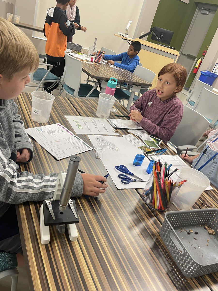 Meriwether Barry tweet media