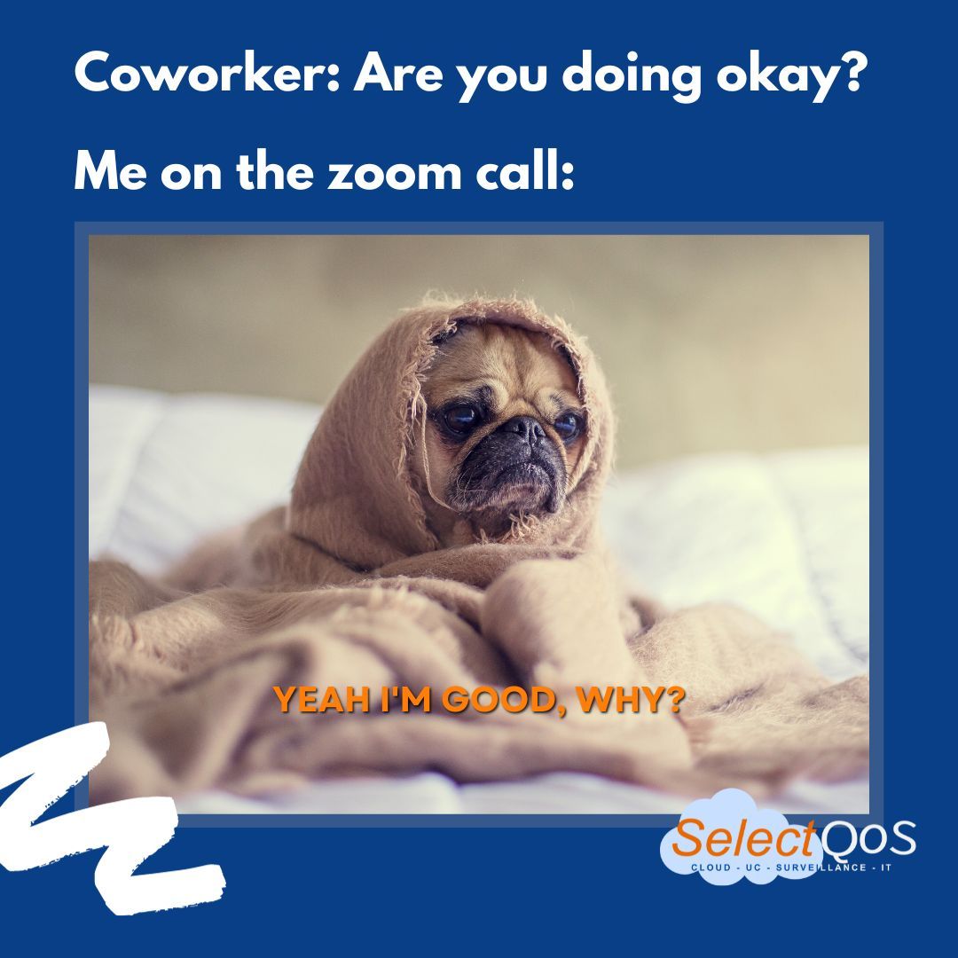 SelectQoS's tweet image. Business up top, PJs down below – the official dress code for our Zoom success stories. #ZoomFashion #RemoteWorkChic #selectqos