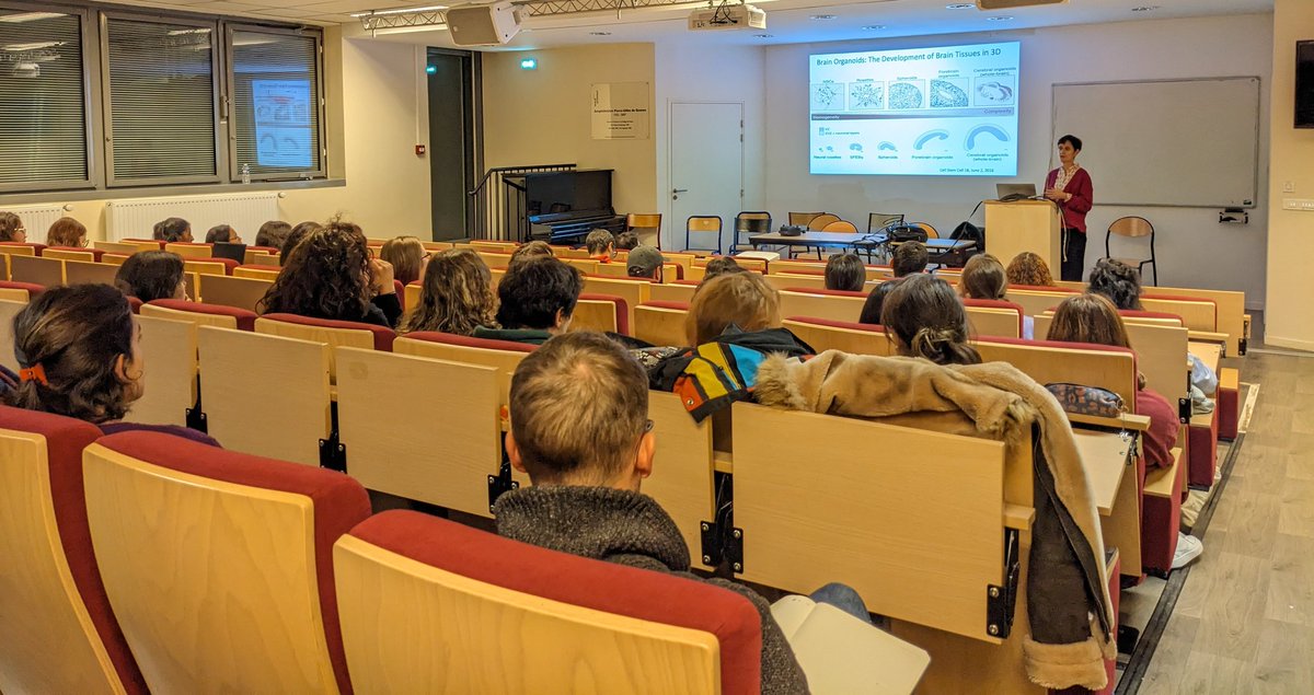EUR G.E.N.E. Grad School (@eurgeneparis) on Twitter photo Despite the cold weather, many students are present for the Téléthon special edition of the <a href="/SeminarSerieMEG/">Seminar Series by the MEG</a> ! So proud of their unwavering involvement in the Téléthon ! Despite the cold weather, many students are present for the Téléthon special edition of the <a href="/SeminarSerieMEG/">Seminar Series by the MEG</a> ! So proud of their unwavering involvement in the Téléthon !