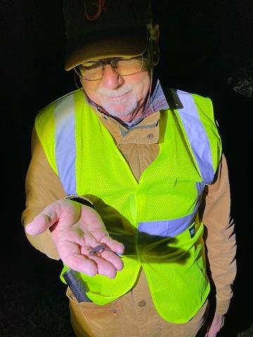 BayNature's tweet image. It’s Looking Like a Banner Year for Baby #Newts in the #NorthBay 

ow.ly/ZN6j50QbOz8

🖊️: Anushuya Thapa
📸s: michael k (@iNaturalist), Courtesy Sally Gale, tsgdds (@iNaturalist)

#californianewts #newtbrigade