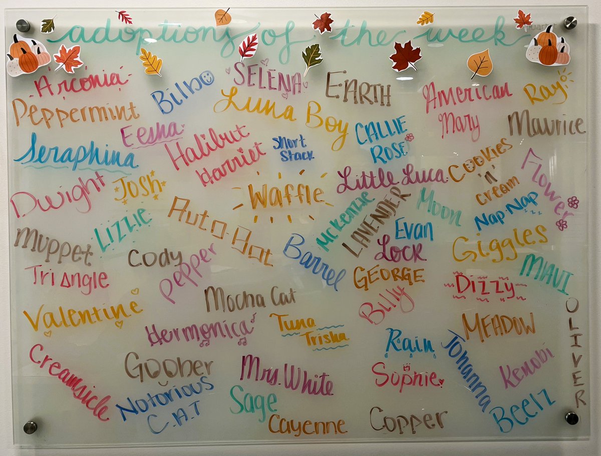 Placer SPCA tweet media