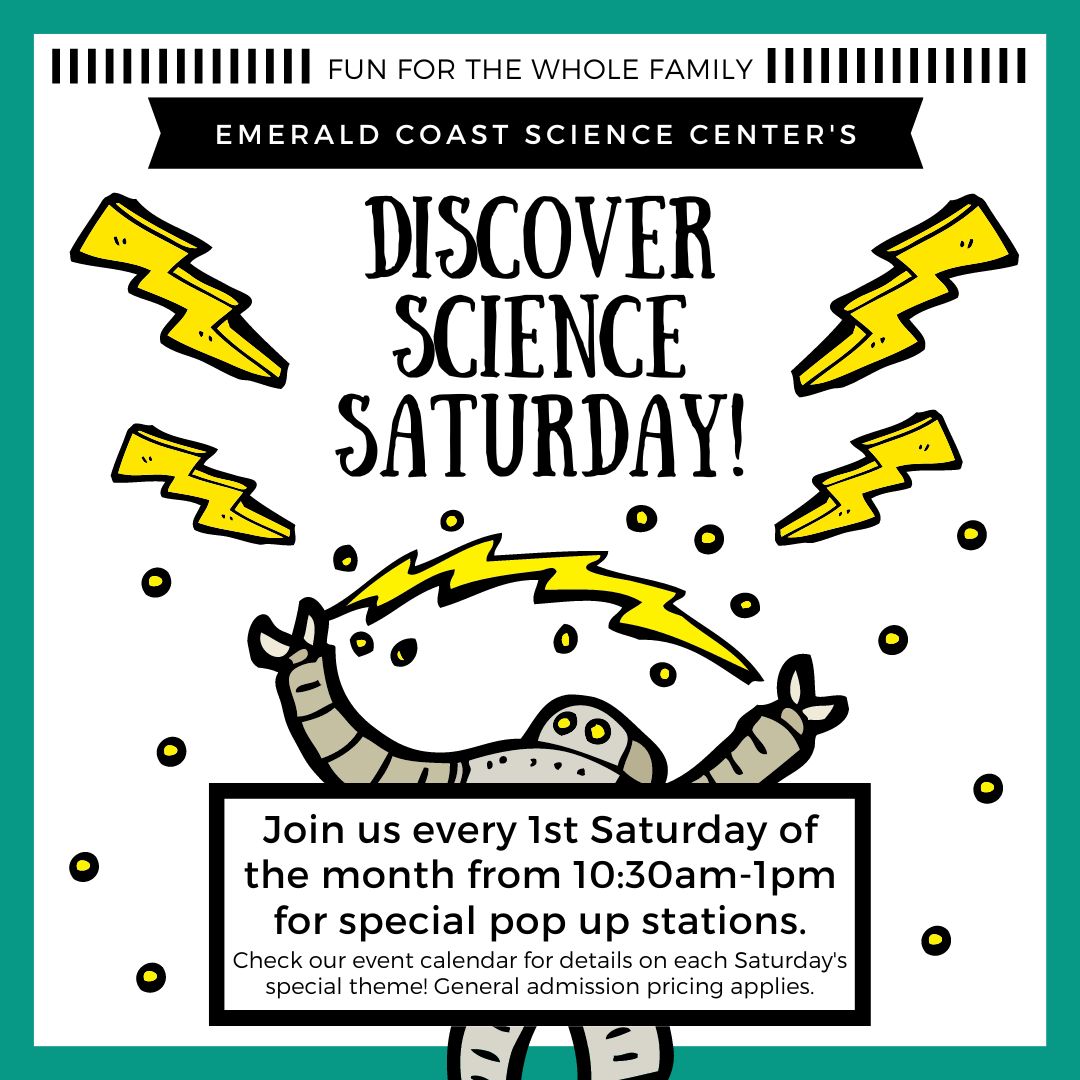ECScienceCenter's tweet image. Unearth the wonders of Geology at Discover Science Saturday! 🪨 Join us on Dec. 2 from 10:30am to 1pm for an epic rocks and minerals adventure. Dive into a hands-on rock and minerals lab, create your own geodes to take home, and dig into extra fun at our sciPad exhibit!