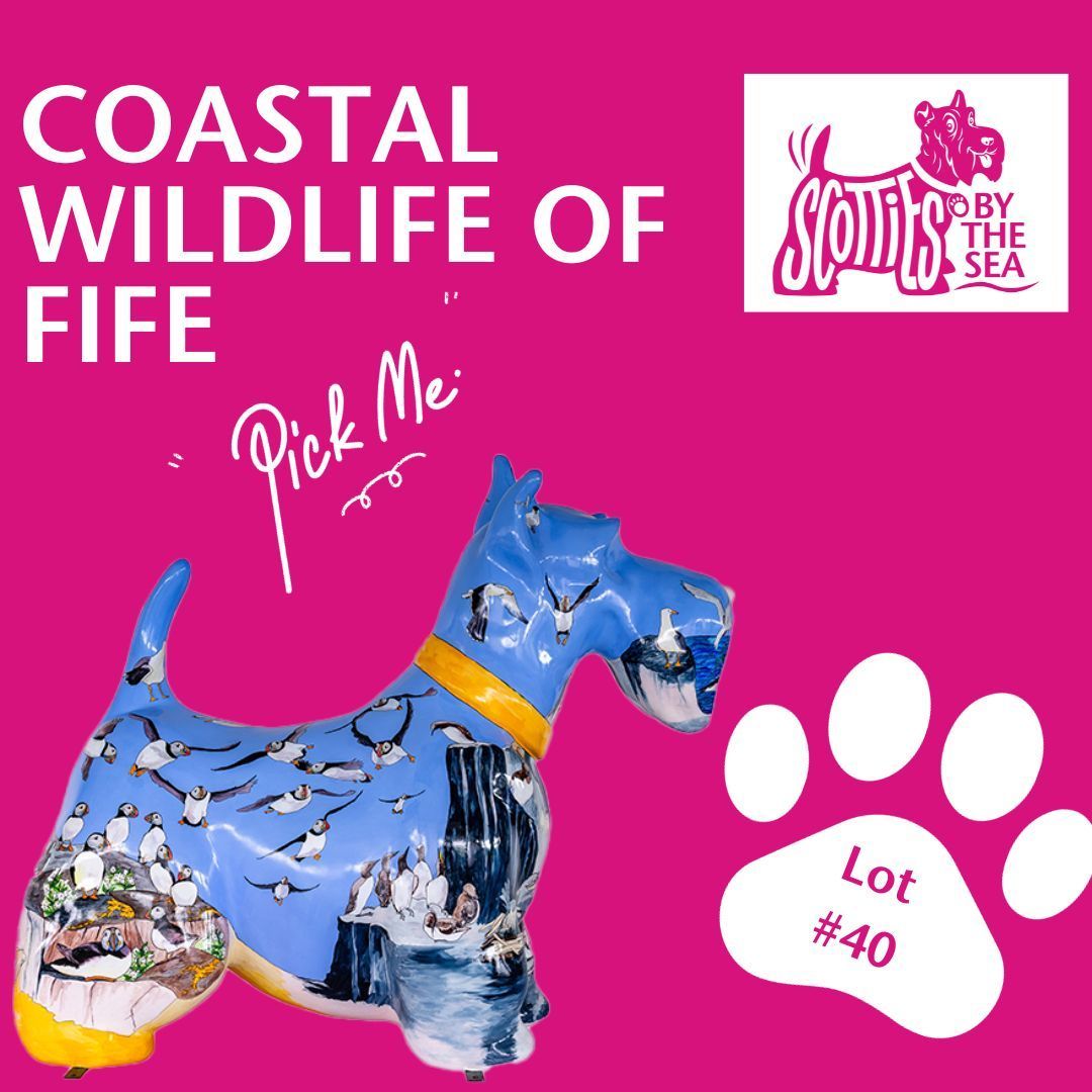 🌊🐾 Bid Now for "Coastal Wildlife of Fife" 🦢🎨

Immerse yourself in the vibrant world of Fife's coastal wildlife with this captivating Scottie Dog design! 🏡🌅

🌟👉 Place your bid and make "Coastal Wildlife of Fife" yours! - buff.ly/3sGcJ2b 

#ScottiesByTheSea