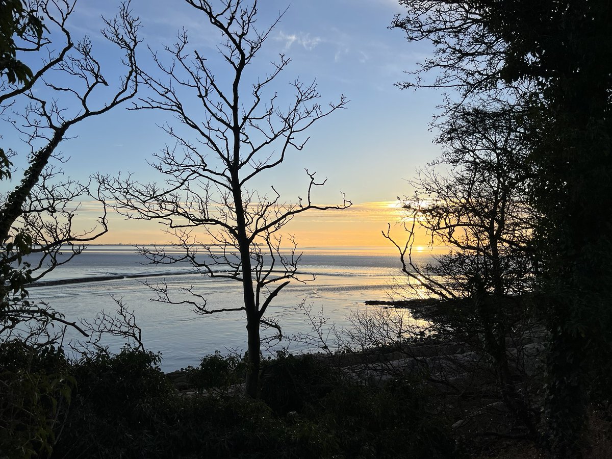 Our winter (very nearly) surveys still take in sunsets 😅 #morecambebay @ArnsideSilverNL #ecologyWork