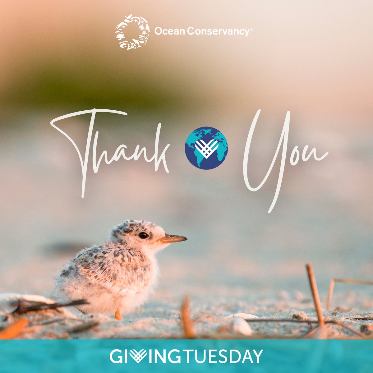 WOW. 🌅 We are *blown away* by the incredible support you've shown @OurOcean this #GivingTuesday. 

We couldn’t be more thankful. From the bottom of our hearts, THANK YOU! 🌊💙🌊 

Miss out on our triple match for #GivingTuesday2023? We've got some great news for you! ⤵️