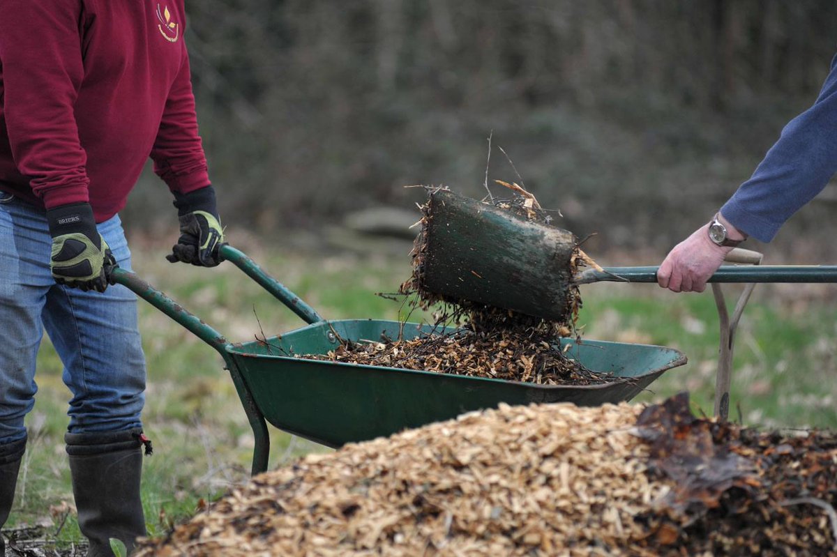 The Green Health Hub is full of groups in the #NewForest and surrounding area offering outdoor wellbeing activities for a range of abilities and interests.

Find out more on the website: greenhealthhub.org.uk

#GreenHealthHub #wellbeing #health #MentalHealth #SocialPrescribing