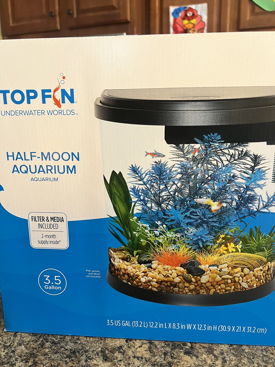 tiffsdesign's tweet photo. When you buy your kids an #aquarium at @PetSmart &amp; set it up only to come back and be denied buying them each a fish because they say it's only made for one betta. #topfin #imagefail #twotetrasandaguppyonthatbox sobbing toddlers 😭😭 https://t.co/8ourzaW4kj